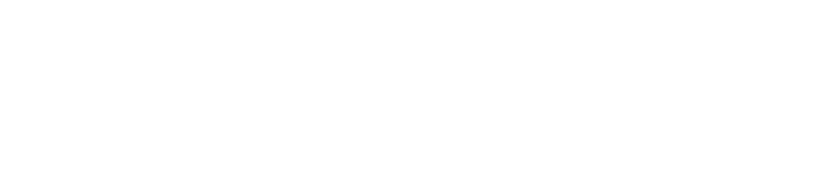 Logo Denex